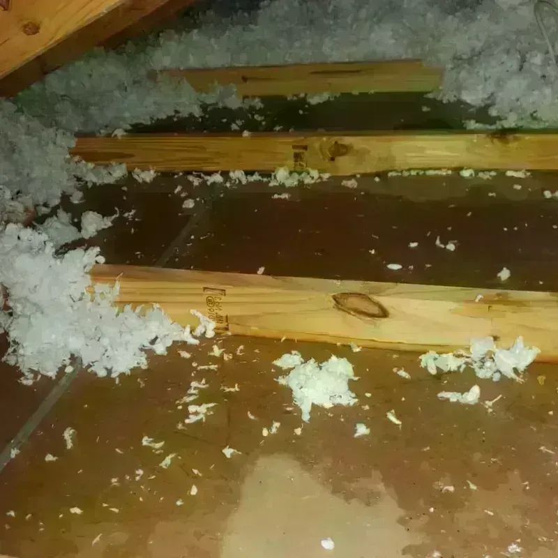 Attic Water Damage in City of Portsmouth, VA