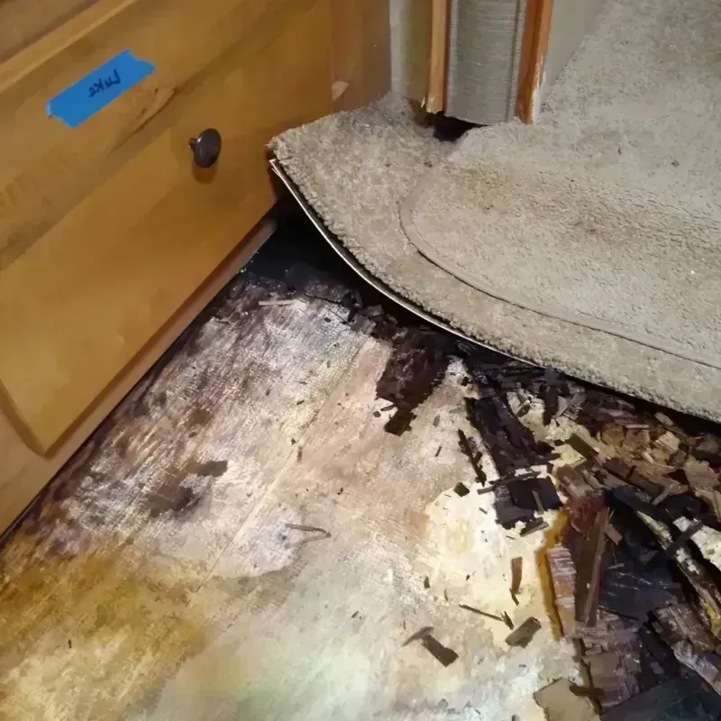 Wood Floor Water Damage in City of Portsmouth, VA